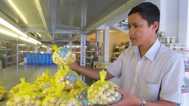 Sản vật Hoàng Sa ra thế giới ảnh 1